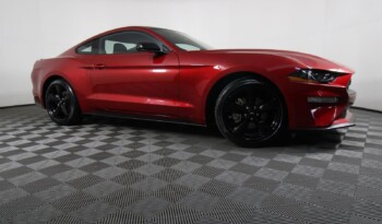 Used 2023 Ford Mustang EcoBoost Fastback 2dr Car – 1FA6P8TH0P5101015 full